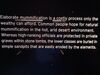 Filename=20220713_073.jpg
Filesize=302KiB
Dimensions=2048x1536
Date added=Aug 29, 2023 20220713_073.jpg