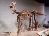 Filename=20220713_119.jpg
Filesize=383KiB
Dimensions=2048x1536
Date added=Aug 29, 2023 20220713_119.jpg