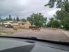 Filename=20220714_003.jpg
Filesize=505KiB
Dimensions=2048x1536
Date added=Aug 30, 2023 20220714_003.jpg