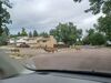 Filename=20220714_004.jpg
Filesize=555KiB
Dimensions=2048x1536
Date added=Aug 30, 2023 20220714_004.jpg