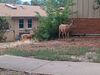 Filename=20220714_006.jpg
Filesize=579KiB
Dimensions=2048x1536
Date added=Aug 30, 2023 20220714_006.jpg