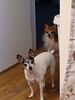 Filename=20220721_001.jpg
Filesize=297KiB
Dimensions=1536x2048
Date added=Aug 30, 2023 20220721_001.jpg