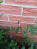 Filename=20220721_004.jpg
Filesize=566KiB
Dimensions=1536x2048
Date added=Aug 30, 2023 20220721_004.jpg