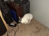 Filename=20220722_001.jpg
Filesize=597KiB
Dimensions=2048x1536
Date added=Aug 30, 2023 20220722_001.jpg
