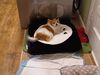 Filename=20220729_002.jpg
Filesize=380KiB
Dimensions=2048x1536
Date added=Aug 30, 2023 20220729_002.jpg