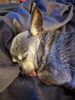 Filename=20220809_001.jpg
Filesize=574KiB
Dimensions=1536x2048
Date added=Aug 30, 2023 20220809_001.jpg