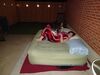 Filename=20220812_004.jpg
Filesize=429KiB
Dimensions=2048x1536
Date added=Aug 30, 2023 20220812_004.jpg
