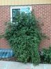 Filename=20220815_002.jpg
Filesize=740KiB
Dimensions=1536x2048
Date added=Aug 30, 2023 20220815_002.jpg