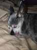 Filename=20220831_001.jpg
Filesize=692KiB
Dimensions=1536x2048
Date added=Aug 30, 2023 20220831_001.jpg
