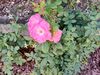Filename=20220831_005.jpg
Filesize=570KiB
Dimensions=2048x1536
Date added=Aug 30, 2023 20220831_005.jpg