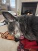 Filename=20220911_001.jpg
Filesize=440KiB
Dimensions=1536x2048
Date added=Sep 02, 2023 20220911_001.jpg