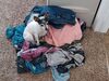 Filename=20220917_002.jpg
Filesize=606KiB
Dimensions=2048x1536
Date added=Sep 02, 2023 20220917_002.jpg