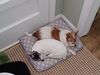 Filename=20220918_002.jpg
Filesize=430KiB
Dimensions=2048x1536
Date added=Sep 02, 2023 20220918_002.jpg
