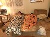 Filename=20220923_002.jpg
Filesize=578KiB
Dimensions=2048x1536
Date added=Sep 02, 2023 20220923_002.jpg