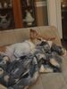 Filename=20220924_006.jpg
Filesize=274KiB
Dimensions=1536x2048
Date added=Sep 02, 2023 20220924_006.jpg