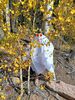 Filename=20220925_041.jpg
Filesize=1075KiB
Dimensions=1536x2048
Date added=Sep 02, 2023 20220925_041.jpg