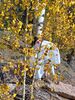 Filename=20220925_042.jpg
Filesize=1146KiB
Dimensions=1536x2048
Date added=Sep 02, 2023 20220925_042.jpg