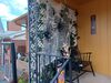 Filename=20221004_002.jpg
Filesize=656KiB
Dimensions=2048x1536
Date added=Sep 02, 2023 20221004_002.jpg