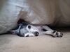 Filename=20221008_004.jpg
Filesize=239KiB
Dimensions=2048x1536
Date added=Sep 02, 2023 20221008_004.jpg