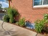 Filename=20221008_009.jpg
Filesize=841KiB
Dimensions=2048x1536
Date added=Sep 02, 2023 20221008_009.jpg