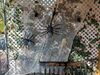 Filename=20221008_015.jpg
Filesize=1061KiB
Dimensions=2048x1536
Date added=Sep 02, 2023 20221008_015.jpg