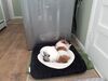 Filename=20221106_001.jpg
Filesize=320KiB
Dimensions=2048x1536
Date added=Sep 03, 2023 20221106_001.jpg