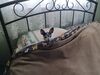 Filename=20221117_001.jpg
Filesize=584KiB
Dimensions=2048x1536
Date added=Sep 03, 2023 20221117_001.jpg