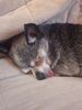 Filename=20221125_004.jpg
Filesize=467KiB
Dimensions=1536x2048
Date added=Sep 03, 2023 20221125_004.jpg