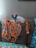 Filename=20221201_001.jpg
Filesize=475KiB
Dimensions=1536x2048
Date added=Sep 03, 2023 20221201_001.jpg