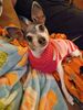 Filename=20221217_002.jpg
Filesize=309KiB
Dimensions=1536x2048
Date added=Sep 03, 2023 20221217_002.jpg