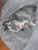 Filename=20221219_003.jpg
Filesize=669KiB
Dimensions=1536x2048
Date added=Sep 03, 2023 20221219_003.jpg