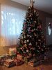 Filename=20221220_007.jpg
Filesize=459KiB
Dimensions=1536x2048
Date added=Sep 03, 2023 20221220_007.jpg