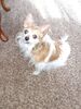 Filename=20221225_006.jpg
Filesize=967KiB
Dimensions=1536x2048
Date added=Sep 03, 2023 20221225_006.jpg