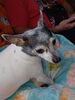 Filename=20221225_007.jpg
Filesize=429KiB
Dimensions=1536x2048
Date added=Sep 03, 2023 20221225_007.jpg