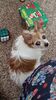 Filename=20221225_024.jpg
Filesize=542KiB
Dimensions=1152x2048
Date added=Sep 03, 2023 20221225_024.jpg