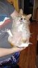 Filename=20221230_001.jpg
Filesize=494KiB
Dimensions=1152x2048
Date added=Sep 04, 2023 20221230_001.jpg