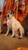 Filename=20230112_001.jpg
Filesize=360KiB
Dimensions=1152x2048
Date added=Sep 04, 2023 20230112_001.jpg