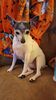 Filename=20230112_002.jpg
Filesize=319KiB
Dimensions=1152x2048
Date added=Sep 04, 2023 20230112_002.jpg