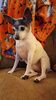 Filename=20230112_003.jpg
Filesize=368KiB
Dimensions=1152x2048
Date added=Sep 04, 2023 20230112_003.jpg