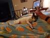 Filename=20230117_001.jpg
Filesize=423KiB
Dimensions=2048x1536
Date added=Sep 04, 2023 20230117_001.jpg
