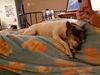 Filename=20230117_002.jpg
Filesize=405KiB
Dimensions=2048x1536
Date added=Sep 04, 2023 20230117_002.jpg