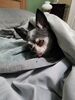 Filename=20230206_001.jpg
Filesize=473KiB
Dimensions=1536x2048
Date added=Sep 04, 2023 20230206_001.jpg