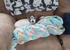 Filename=20230216_002.jpg
Filesize=582KiB
Dimensions=2048x1452
Date added=Sep 04, 2023 20230216_002.jpg