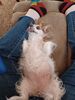 Filename=20230224_003.jpg
Filesize=508KiB
Dimensions=1536x2048
Date added=Sep 04, 2023 20230224_003.jpg