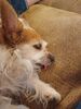 Filename=20230224_004.jpg
Filesize=532KiB
Dimensions=1536x2048
Date added=Sep 04, 2023 20230224_004.jpg