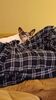 Filename=20230303_002.jpg
Filesize=412KiB
Dimensions=1152x2048
Date added=Sep 04, 2023 20230303_002.jpg