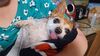 Filename=20230310_001.jpg
Filesize=331KiB
Dimensions=2048x1152
Date added=Sep 04, 2023 20230310_001.jpg
