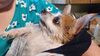 Filename=20230310_002.jpg
Filesize=357KiB
Dimensions=2048x1152
Date added=Sep 04, 2023 20230310_002.jpg