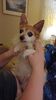 Filename=20230311_001.jpg
Filesize=271KiB
Dimensions=1152x2048
Date added=Sep 04, 2023 20230311_001.jpg