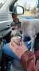 Filename=20230404_001.jpg
Filesize=375KiB
Dimensions=1152x2048
Date added=Sep 04, 2023 20230404_001.jpg